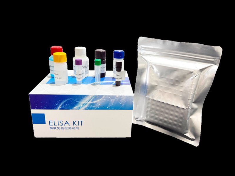 生物制品代工：揭秘高效生产背后的秘密武器