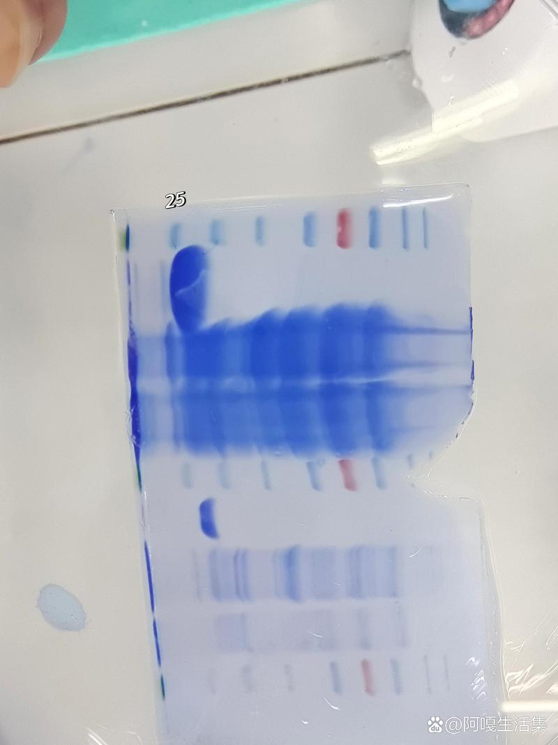 基因工程：开启生命科学新纪元