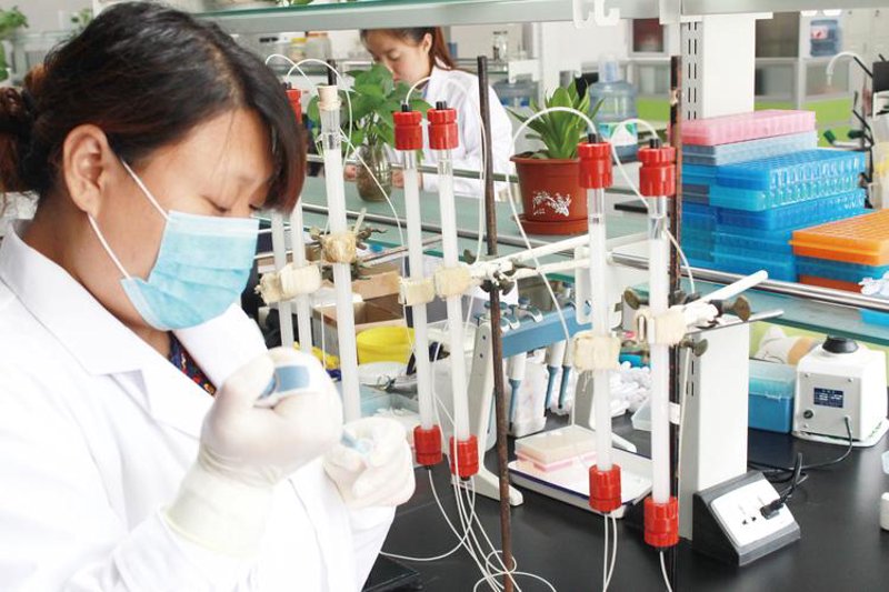 生物技术研发:解锁生命科学的无限可能