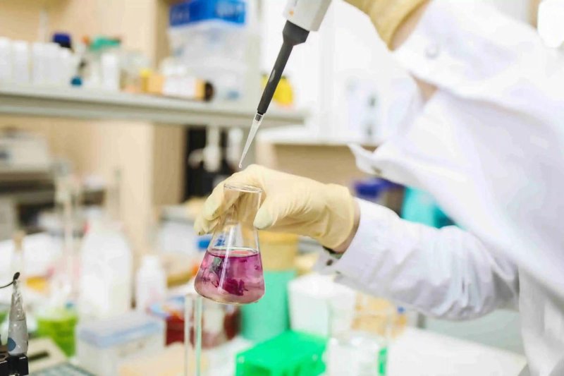 生物技术研发：引领未来的生命科学