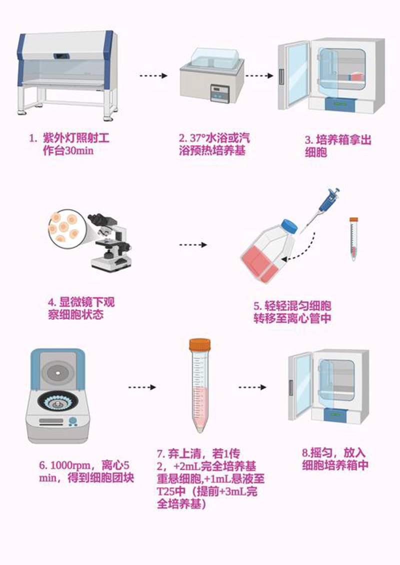 生物制品代工:创新驱动下的产业链变革